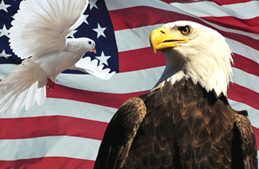 外汇市场中常见对冲模式有哪些?