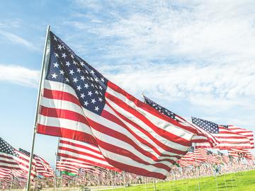 外汇基本面分析有用吗,如何正确看待基本面