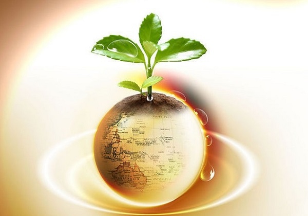 美联储洛根:美联储应放弃联邦基金利率 改用国债抵押隔夜利率